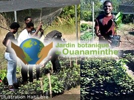Haïti - Environnement : Le Jardin botanique de Ouanaminthe lance son plan climat (2025-2030)