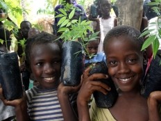 Haiti - Environment : 2 years after, the reforestation is a priority