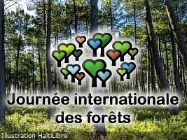iciHaiti - Environment : International Day of Forests