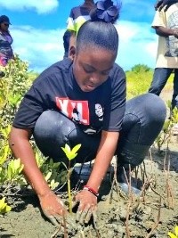 Climate change : Strengthening coastal ecosystems in Haut-Fourneau, Haiti