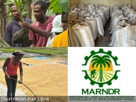 Haïti : Campagne agricole de printemps 2026, le Ministère renforce l’appui aux producteurs