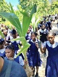 Haiti Environment : «Let's act today to save tomorrow»