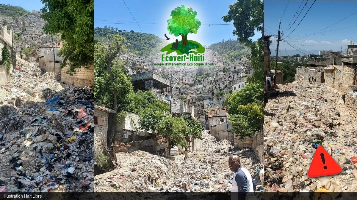 Ecovert-Haiti : Environmental emergency in Métivier