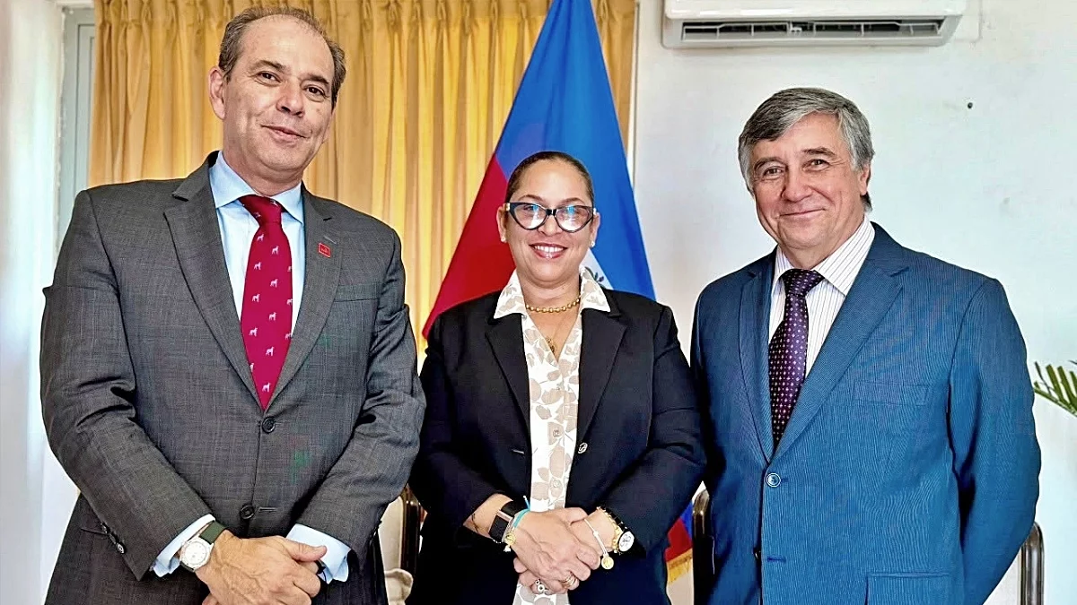 Chile : Trafficking of Haitian children, clarification from the Chilean authorities