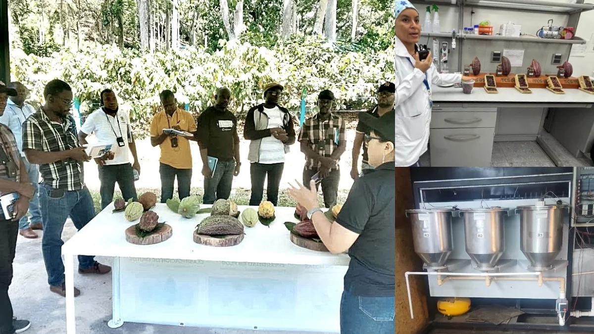 iciHaïti - Colombie : Mission sur le cacao