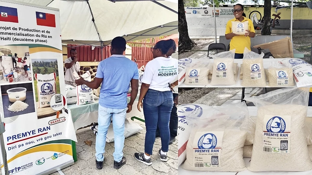 iciHaïti - MODEBEVI : Nouveau riz blanc local conditionné en petits formats