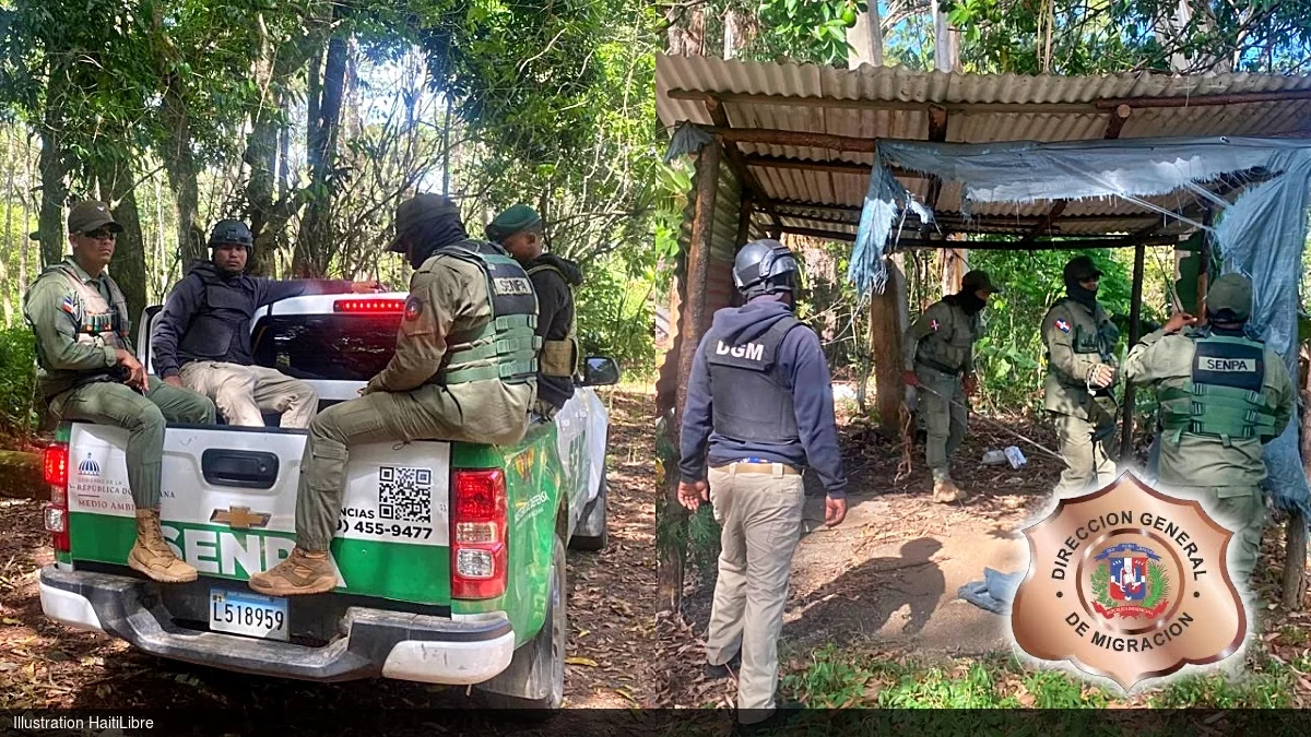 iciHaïti - Environnement : 113 Haïtiens arrêtés pour crimes environnementaux