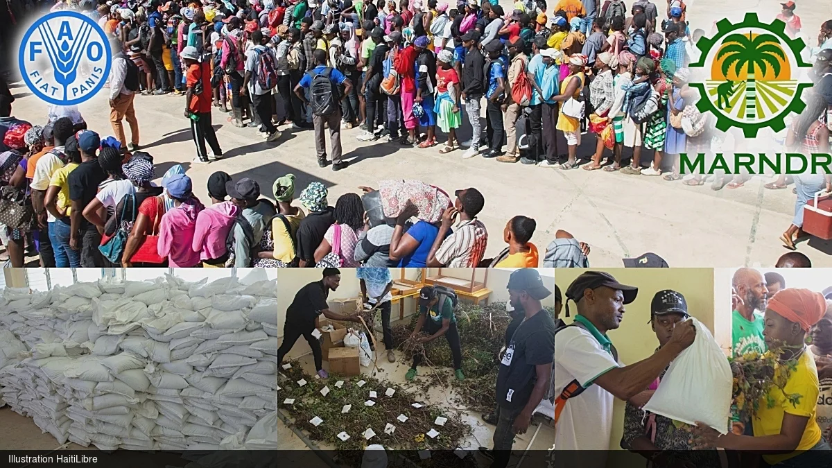 iciHaïti - Kenscoff : Importante distribution d’intrants agricoles