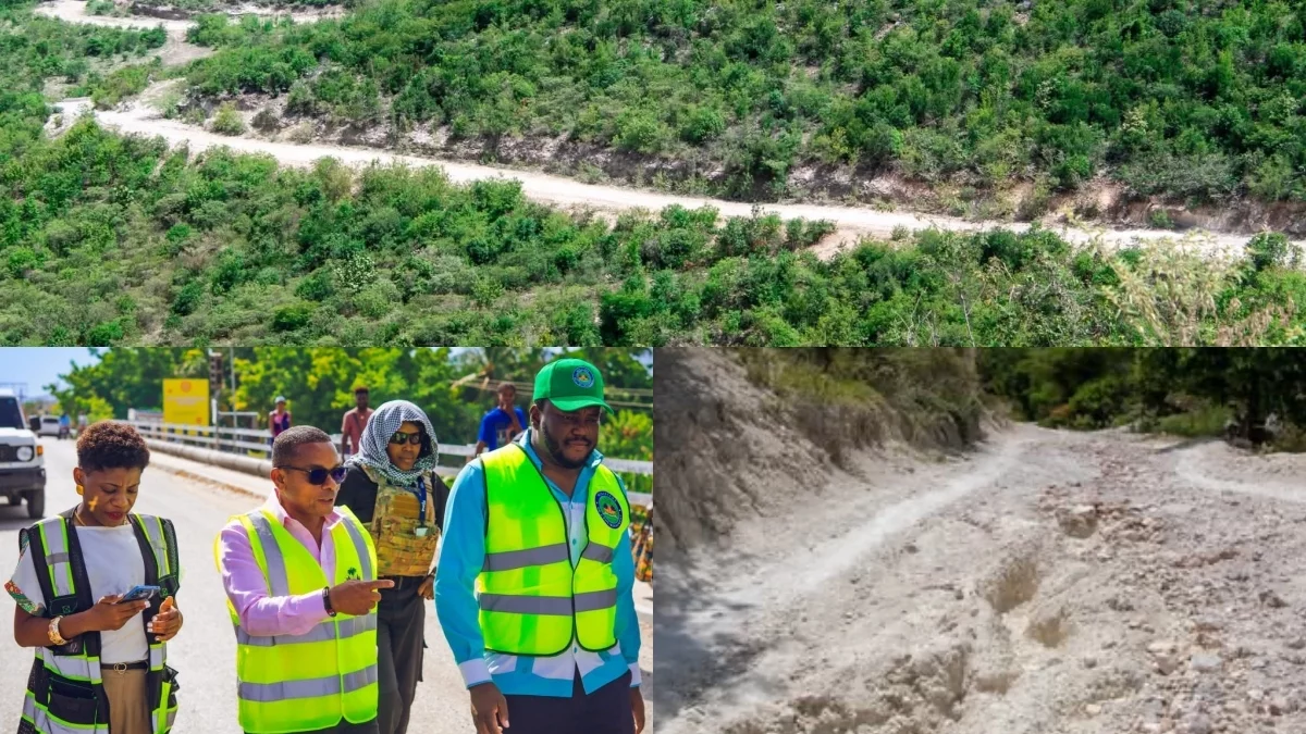 iciHaïti - Terre-Neuve : Mission de prospection et d’évaluation