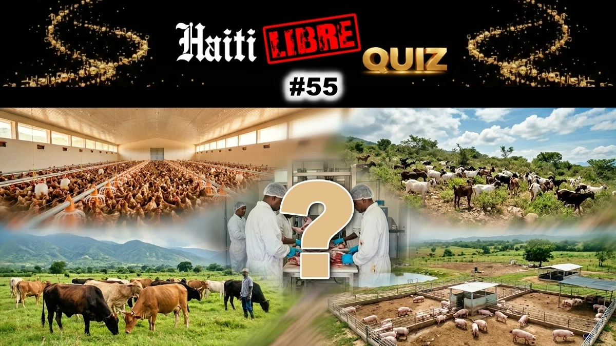 Haïti - Loisirs : Le Saviez-vous ? #55