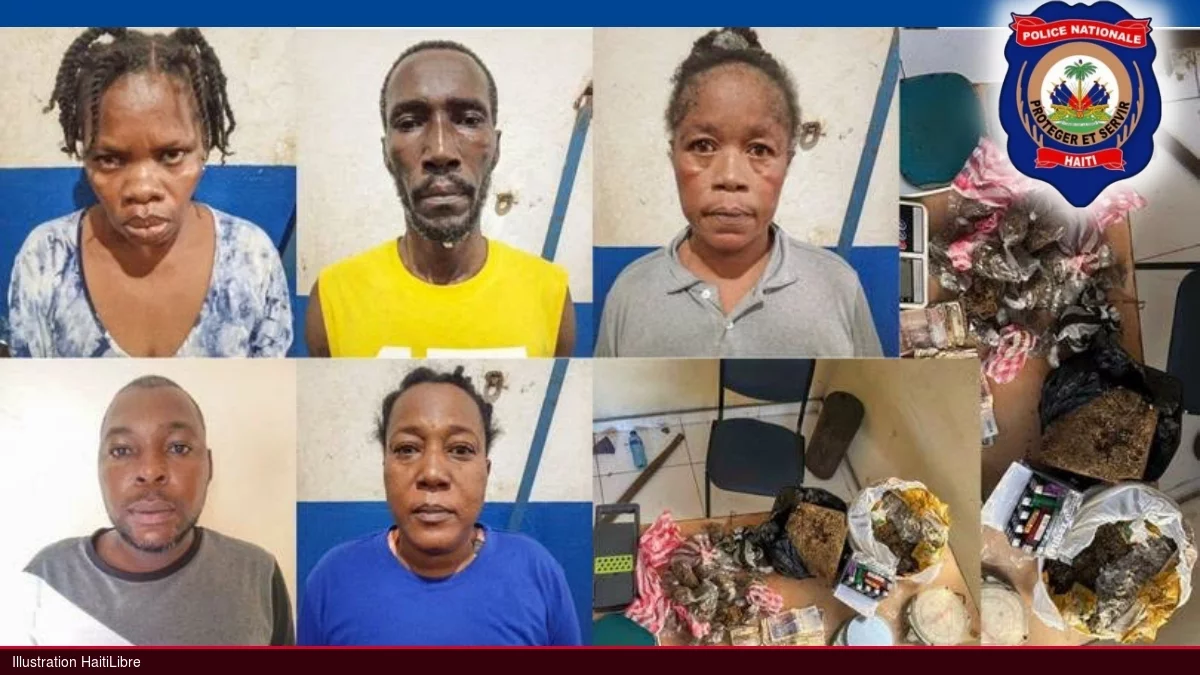 iciHaïti - Jacmel : La police dans le Sud-Est arrête 11 personnes et saisit 2,6 kg de marijuana