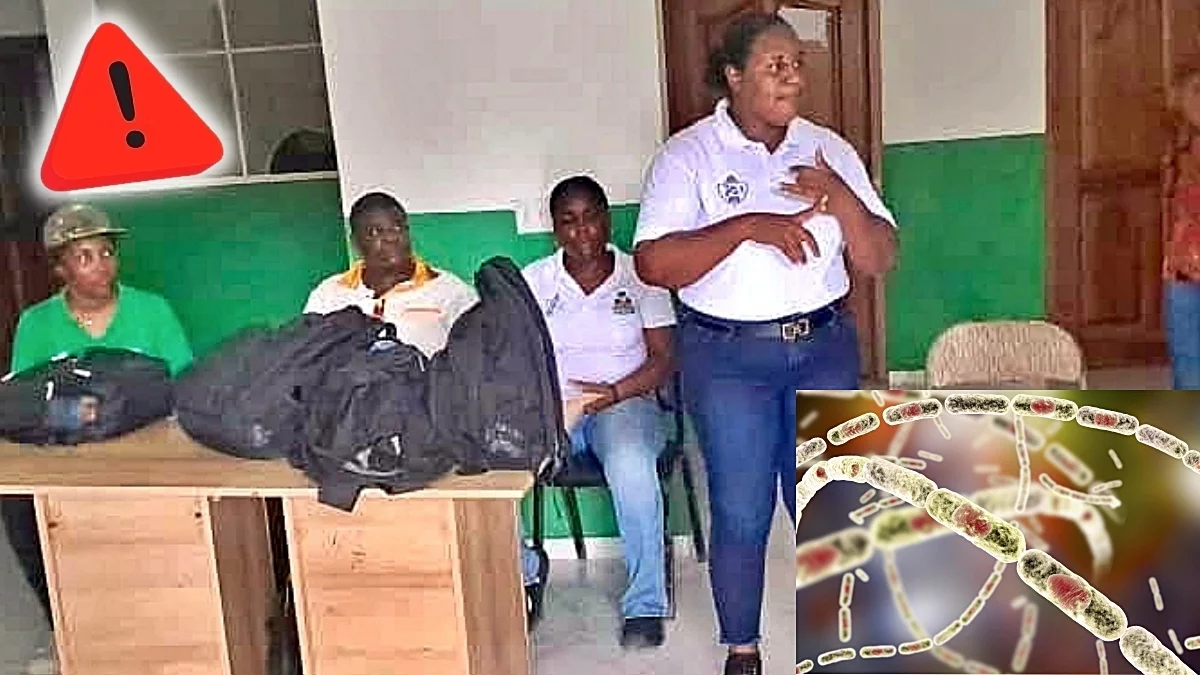 iciHaïti - Grand'Anse : Cas d’Antrax, 2 décès humains et 20 animaux...
