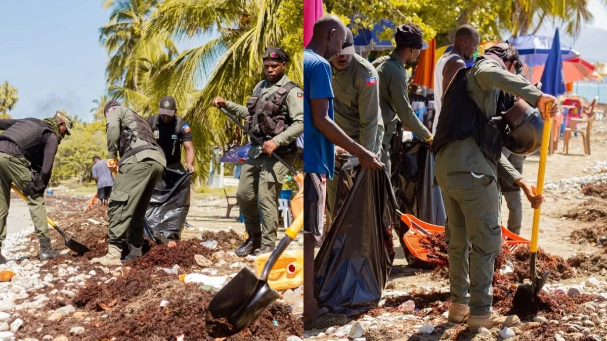 iciHaïti - Jacmel : Mobilisation contre les sargasses