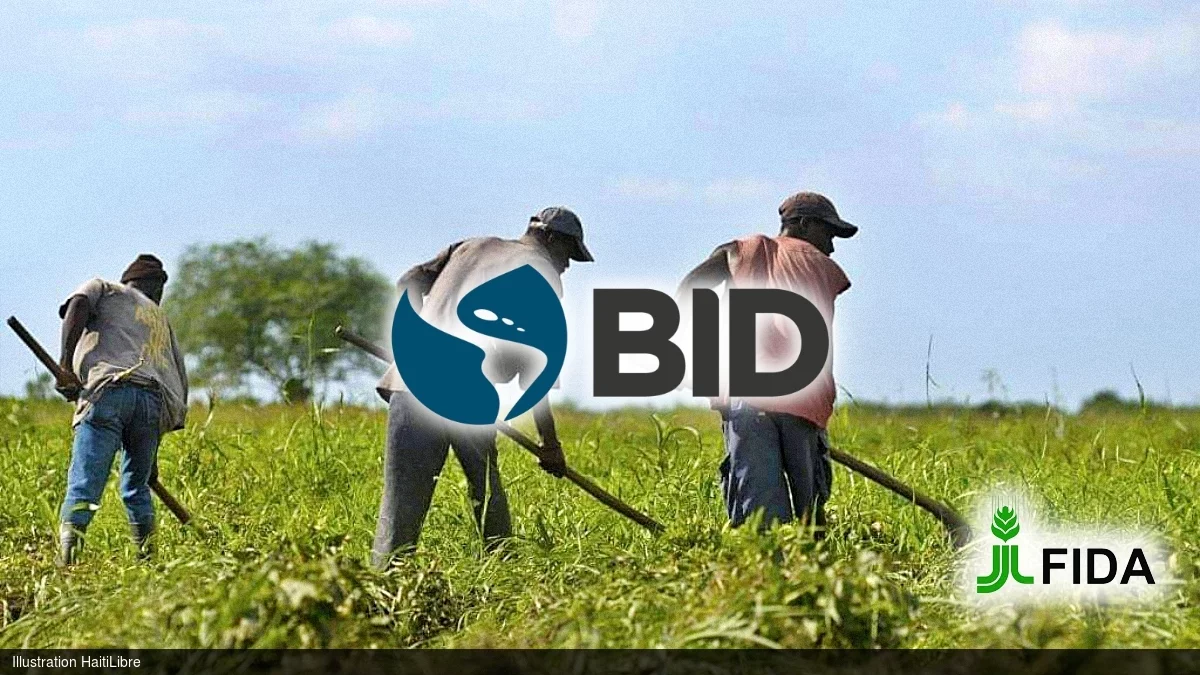 Haïti - Nord et Nord-Est : 47,9 millions USD pour renforcer la productivité agricole