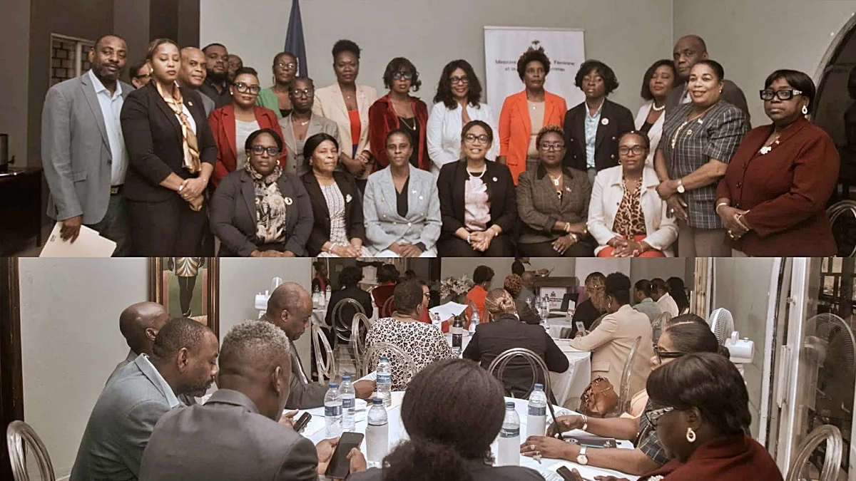 Haiti - Politic : Revision and development of the new National Action Plan for Gender Equality (2026–2031)