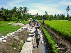Haiti - Agriculture : Problems related to the management of irrigation canals