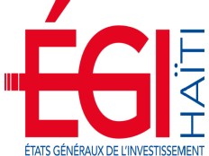 Haiti - Economy : The MCI organizes the States-General of Investment