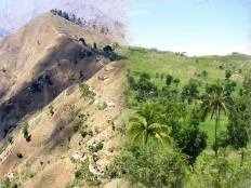 Haiti - Environment : The «Green Border» project is on track