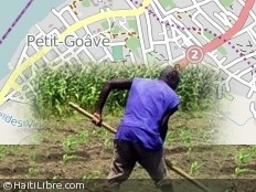 Haiti - Social : Celebration of the Feast of the Agriculture and Labor in Doucette