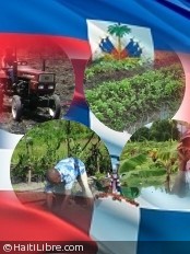 Haiti - Agriculture : Training in organic farming in the Dominican Republic
