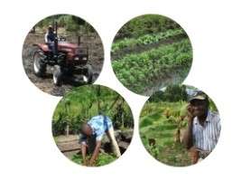 Haiti - Agriculture : Workshop-debates on Agricultural Credit