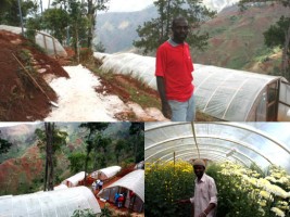 Haiti - Agriculture : The Greenhouses Revolution