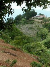 Haïti - Agriculture : Formation en Agroforesterie