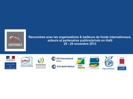 Haiti - Economy : Important delegation of French companies in the country