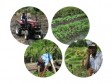 Haiti - Agriculture : Towards a national policy of funding and agricultural insurance in 2014...