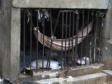 Haïti - Prisons : Pénitencier National, 0,5 m2 par détenu!