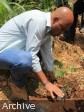 Haiti - Environment : Launch of Phase II of the National Reforestation Campaign