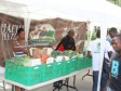 Haïti - Agriculture : Succès du marché de produits locaux à Pétionville