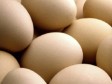 Haiti - Agriculture : Eggs, poultry, livestock, production loss