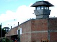 Haiti - Social : Two Haitians imprisoned in Bolivia