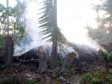 Haiti - Environment : Haitians deforest illegally the Dominican border area