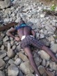 Haiti - FLASH : 21 boat people perish off the Haitian coast