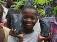 iciHaïti - Environnement : 10 millions d'haïtiens, 10 millions d'arbres