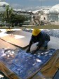 Haiti - Heritage : Rescue of art at the National Palace