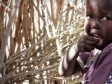 iciHaïti - Humanitaire : Le PAM prévoit commencer des distributions alimentaires d'urgence en Haïti