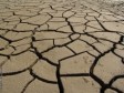 iciHaiti - Climate : Haiti hit by the worst drought in 35 years