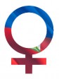 iciHaïti - Politique : Investiture d'un Parlement symbolique, 100% féminin