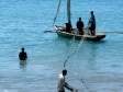 Haïti - Agriculture : La France soutien la pêche artisanale
