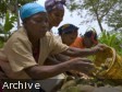 iciHaïti - Social : Hommage aux femmes rurales et aux «Madan Sara»