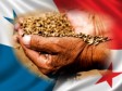 iciHaïti - Panama : Don de semences bio-enrichis