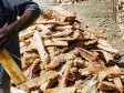 iciHaïti - Environnement : La RD interdit l'importation de morceaux d’arbres d'Haïti 