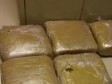 Haiti - DR : Two Haitians Arrested for Drug Traffic at the Border