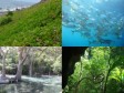 iciHaiti - Environment : Trust Fund for Biodiversity Conservation