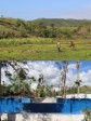 Haïti - France : Vers une relance de l’agriculture dans le Sud