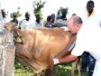 Haïti - Agriculture : Caravanes vétérinaires de la FAO