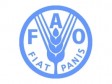 iciHaïti - Agriculture : Vers la création d’un Front Parlementaire contre la Faim